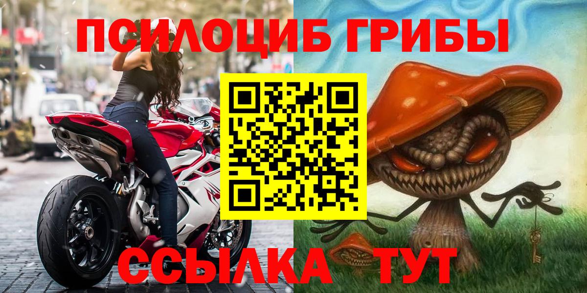 Галлюциногенные грибы Cubensis  Вход с VPN  Кувандык 