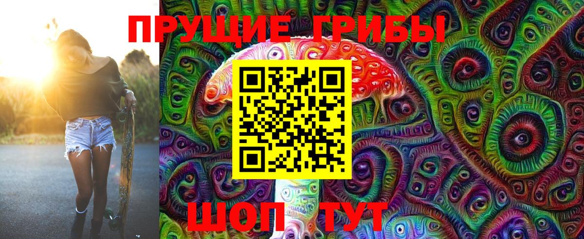 Галлюциногенные грибы Psilocybine cubensis Кувандык